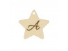 ABALORIO ESTRELLA EN ORO