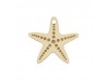 ABALORIO ESTRELLA DE MAR EN ORO