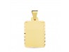 CHAPA TALLADA EN ORO 18 KILATES DE 24X19 MM.