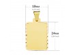 CHAPA LISA EN ORO 18 KILATES DE 31X23 MM.