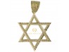 COLGANTE ESTRELLA DE DAVID EN ORO