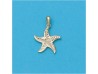 COLGANTE DE ESTRELLA DE MAR EN ORO